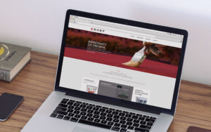 strona responsywna - emef- agencja 4e 1