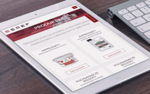 strona responsywna - emef- agencja 4e 3